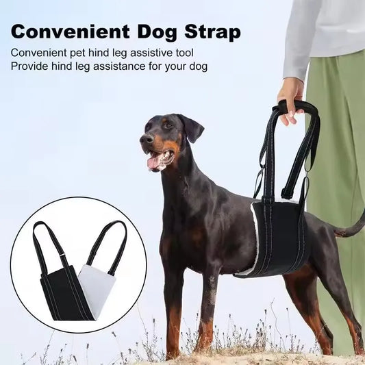 Doberman wearing the black dog rear leg support sling being lifted gently by the padded handle